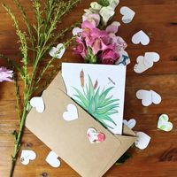Growing Paper Aloe Greeting Card